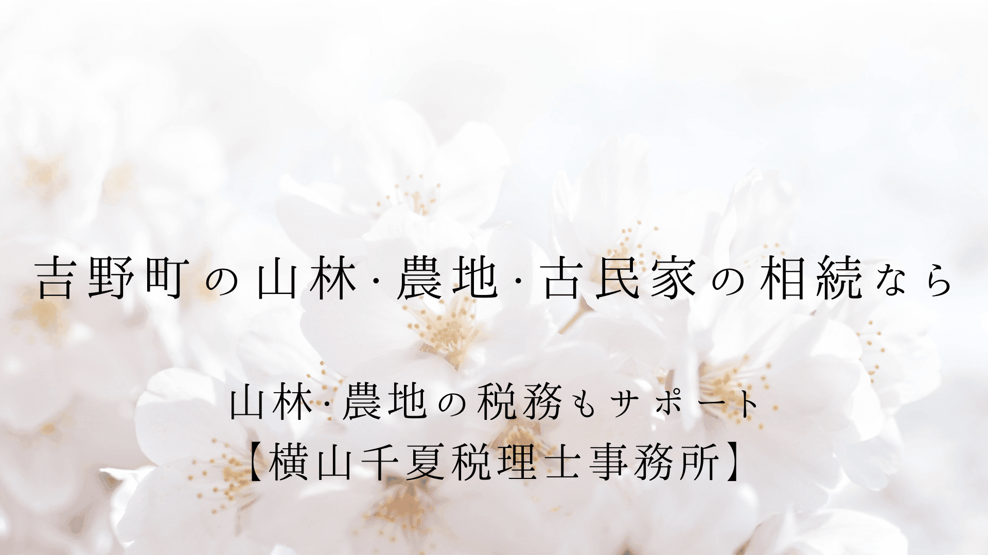 吉野町の税理士|山林・空き家・観光業の相続を出張&オンラインで対応|奈良の女性税理士 | ブログ