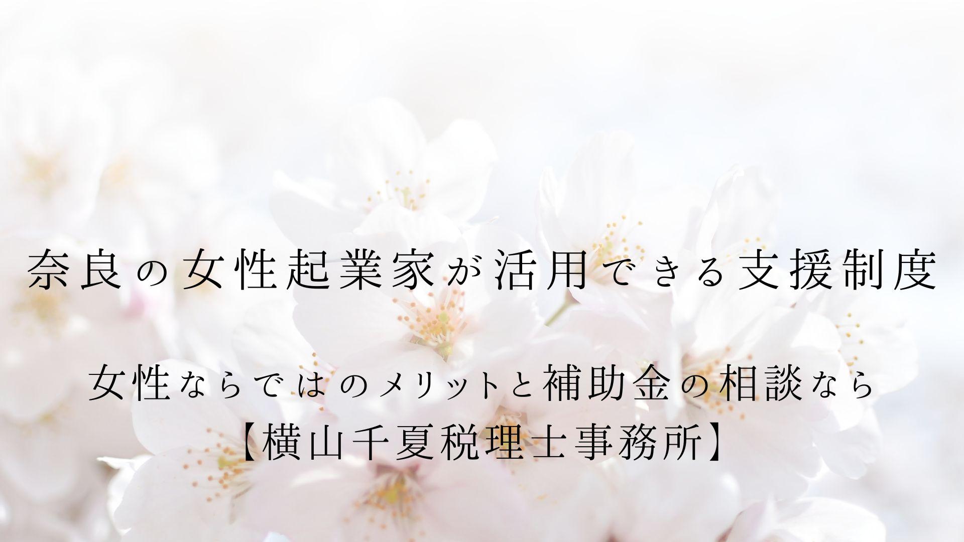 奈良の女性起業家が活用できる支援制度|女性ならではのメリットと補助金 | ブログ