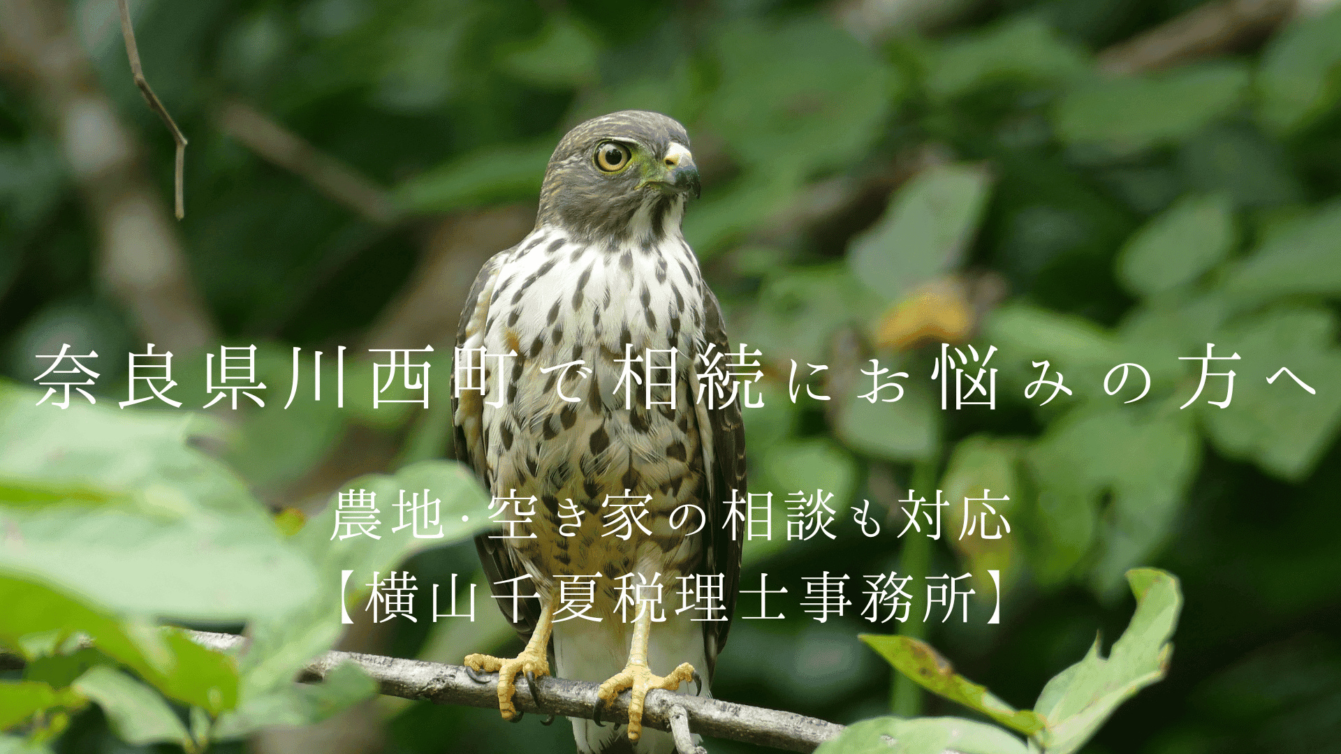 奈良県高取町で相続にお悩みの方へ|歴史ある家屋や農地の相談も女性スタッフが丁寧に対応【横山千夏税理士事務所】