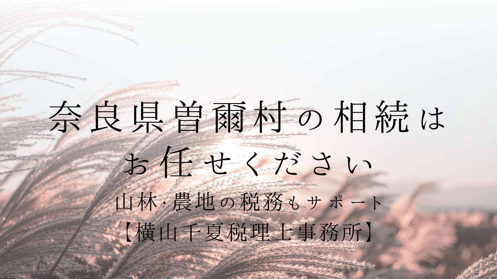 奈良県曽爾村で相続にお悩みの方へ|曽爾高原周辺の土地や空き家の税務も女性中心の事務所がサポート【横山千夏税理士事務所】