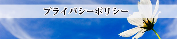 プライバシーポリシー